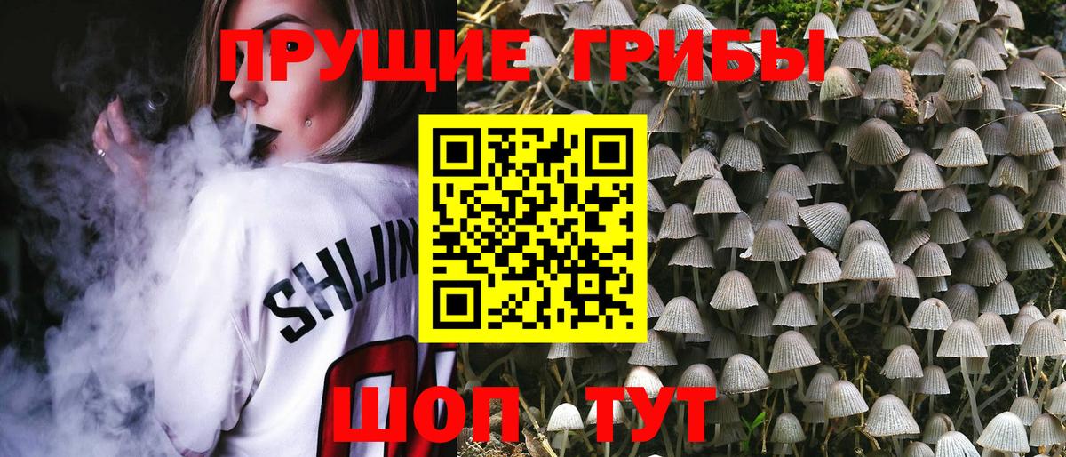 Галлюциногенные грибы Magic Shrooms  Галлюциногенные грибы Cubensis  Вход с VPN  Серпухов 